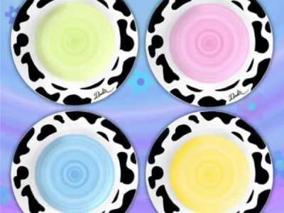Assiette DOOKIE DEMI GROS 2.80€