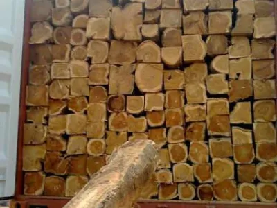 Vente de bois de Tecks , Veine(Kosso), Acajou et Ebene
