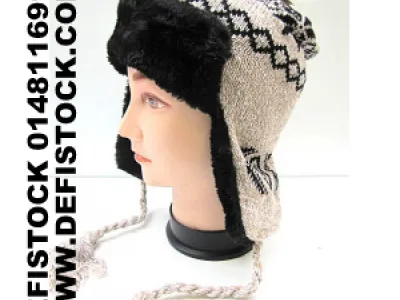 Chapka ref 2001 1.95