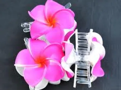 ACCESSOIRES DE MODE : barrettes, pinces a cheveux, chouchous, pics a cheveux