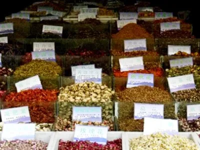 Grossiste tisanes infusions plantes médicinales