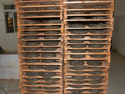 Grossiste exportateur de thés pu’er et thés noirs du Yunnan