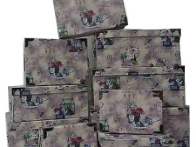 Set de 10 boites de rangement   Réf 9081