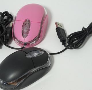 Souris informatique