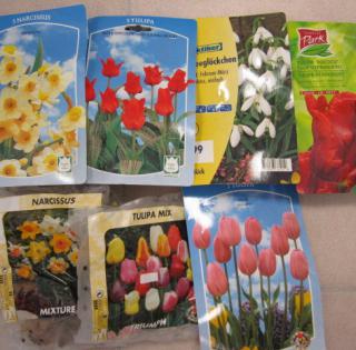 Lot de bulbes Narcisses, bulbes Tulipes, bulbes Divers