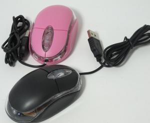 Souris informatique