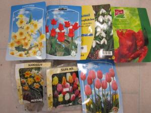 Lot de bulbes Narcisses, bulbes Tulipes, bulbes Divers